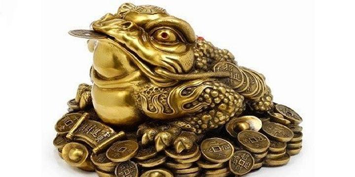 Cách đặt cóc phong thủy hợp lý nhất để đón tài lộc vào nhà | Bói Tử Vi