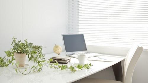 4 quy tắc đặt cây cảnh trên bàn làm việc | Bói Tử Vi