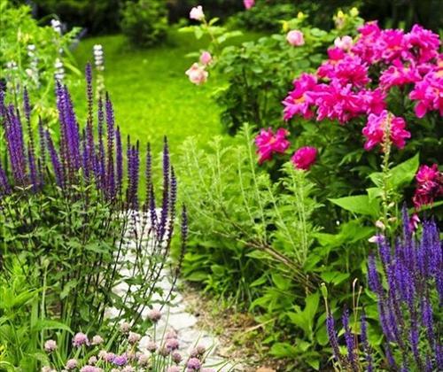 Bật mí bí quyết phong thủy đã thất truyền ngàn năm | Bói Tử Vi