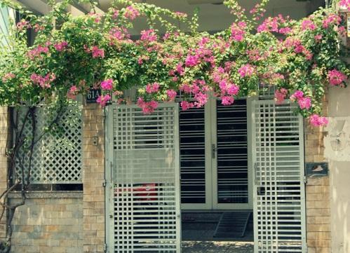 Hóa giải phong thủy nhà bị đường đâm vào như thế nào mới hiệu quả? | Bói Tử Vi