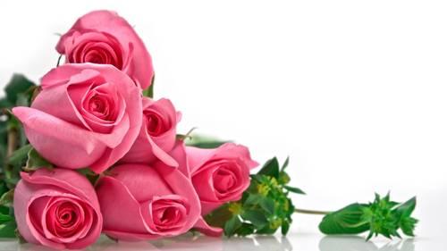 Đặt những vật này trong phòng ngủ đảm bảo sẽ tìm thấy tình yêu đích thực của đời mình | Bói Tử Vi
