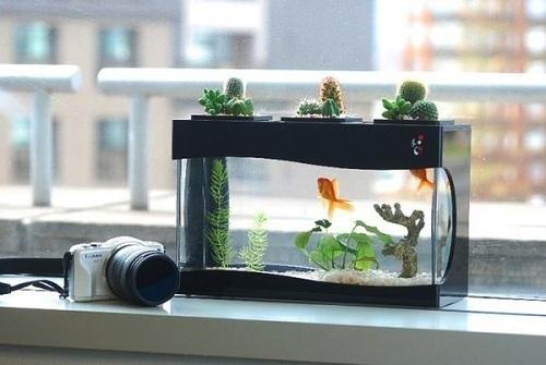 Muốn vạn việc gặp may, tài lộc trĩu tay, đặt ngay những vật phẩm này trên bàn làm việc | Bói Tử Vi