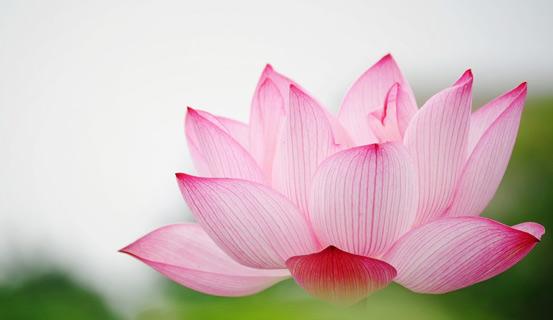 Màu sắc theo Ngũ hành trong phong thủy | Bói Tử Vi