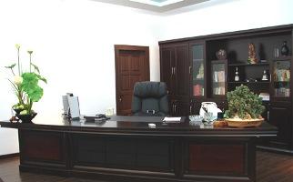 Hóa giải sát khí trong văn phòng và những điều cần lưu ý | Bói Tử Vi