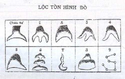 Muốn chọn huyệt cát, đừng bỏ qua thế núi Lộc Tồn | Bói Tử Vi