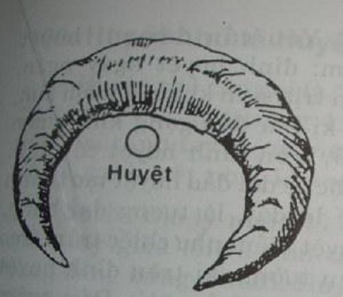 Táng huyệt oa – đại cát đại lợi | Bói Tử Vi