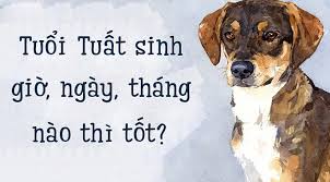 tử i tuổi tuất