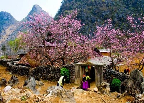 Tết Thanh Minh năm 2017 là ngày nào? | Bói Tử Vi