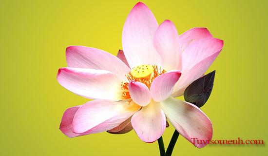 Tục lập bàn thờ vọng | Bói Tử Vi
