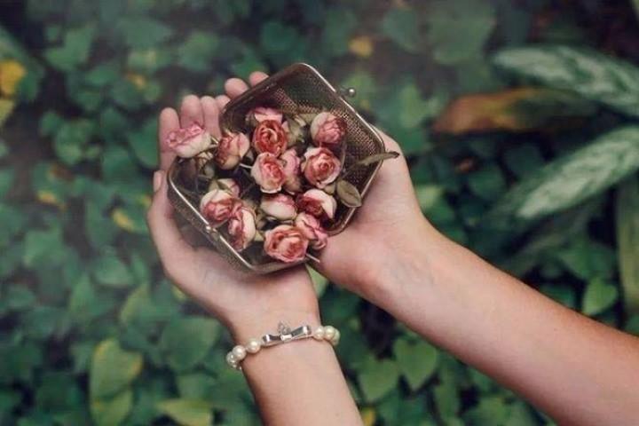 Cái gì của bạn cuối cùng sẽ thuộc về bạn, vậy nên không cần quá cưỡng cầu | Bói Tử Vi
