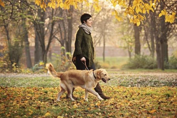 Trời không tuyệt đường người, 11 bí quyết giúp bạn vượt qua khó khăn thất bại | Bói Tử Vi