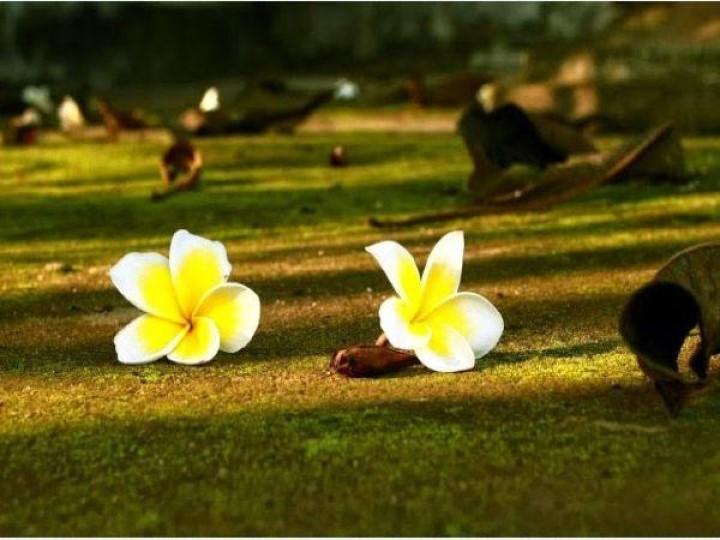 Cái gì của bạn cuối cùng sẽ thuộc về bạn, vậy nên không cần quá cưỡng cầu | Bói Tử Vi
