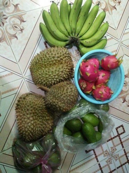 Chỉ ai lấy chồng xa mới hiểu: Thương con gái , bố mẹ gói ghém cả khu vườn gửi cho | Bói Tử Vi