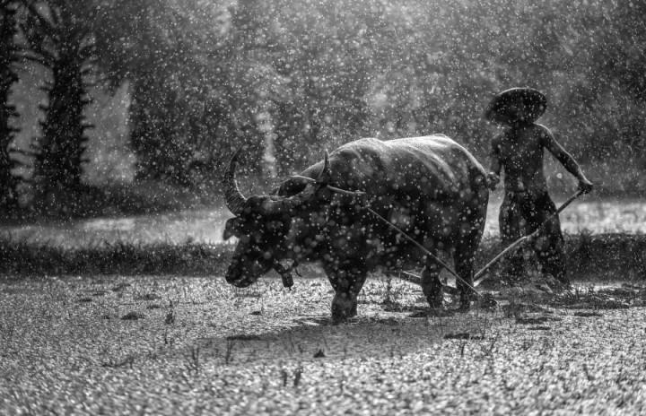 Một ngày nào đó, bạn sẽ cảm ơn những gian khổ mà bạn đã trải qua. | Bói Tử Vi