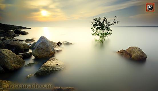 Những câu Thiền ngữ hay | Bói Tử Vi