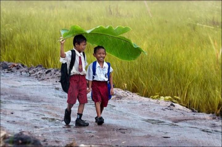 Cuộc Đời Chỉ Cần Một Mái Nhà, Một Người Bạn, Một Chút Tiền Là Đủ | Bói Tử Vi