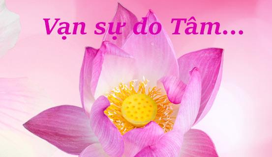 Những câu nói hay về chữ Tâm | Bói Tử Vi