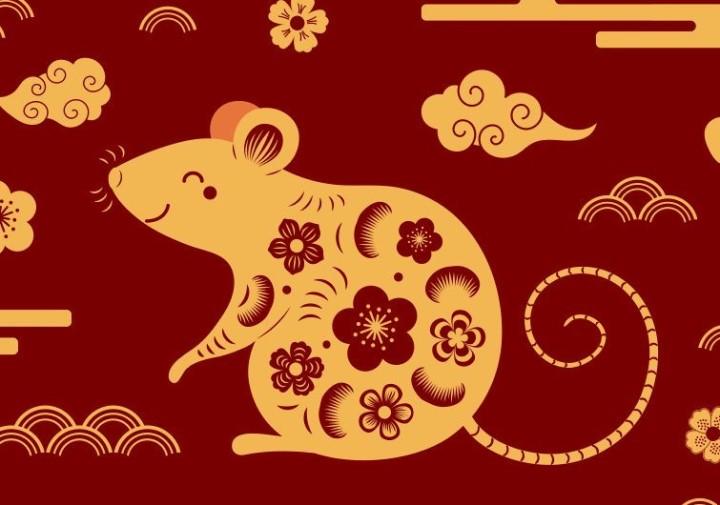 Tử vi 12 con giáp thứ 4 ngày 25/3/2020: Tuổi Dần tiểu nhân đeo bám, Thân tài lộc tăng tiến | Bói Tử Vi
