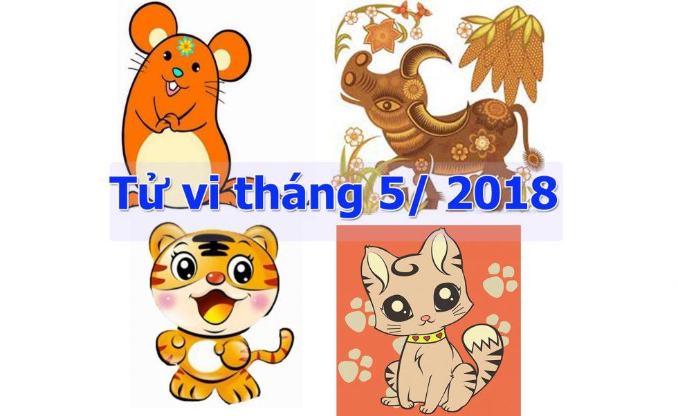 Vận mệnh của 4 con giáp Tý, Sửu, Dần, Mão trong tháng 5/2018 | Bói Tử Vi