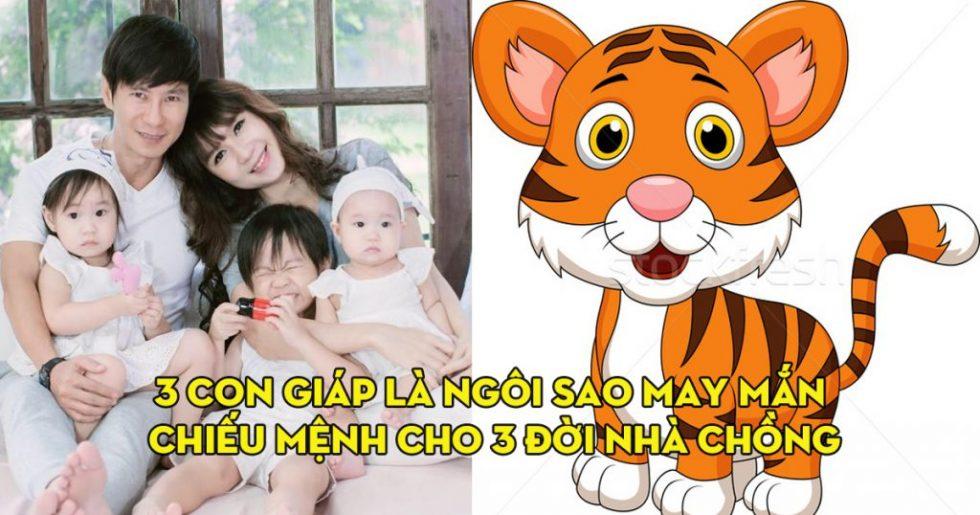 Trong số 12 con giáp, thì 3 con giáp này là ngôi sao may mắn chiếu mệnh cho 3 đời nhà chồng | Bói Tử Vi
