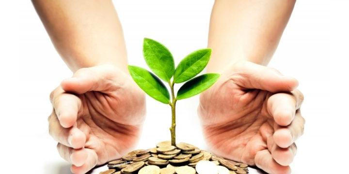 Bật mí 5 con giáp có mệnh giữ tiền | Bói Tử Vi