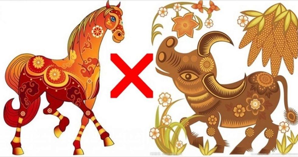 Trong 12 con giáp, những con giáp này thường khắc kỵ nhau, bắt buộc bạn nên biết | Bói Tử Vi