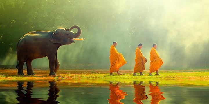 Đi tìm 6 con giáp nam chung thủy, đáng tin cậy nhất trong tình yêu | Bói Tử Vi