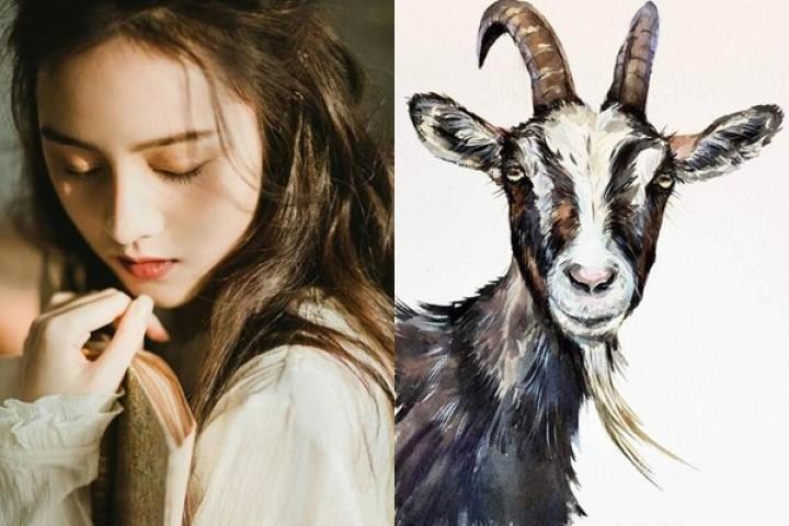 Tuần mới: 3 con giáp này tài vận thăng hoa, vận đào hoa nở rộ | Bói Tử Vi