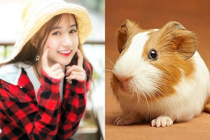 Cuối tháng 9 âm, tiền tài sẽ tự động “gõ cửa” nhà 3 con giáp này, may mắn cũng nối đuôi nhau tìm đến | Bói Tử Vi