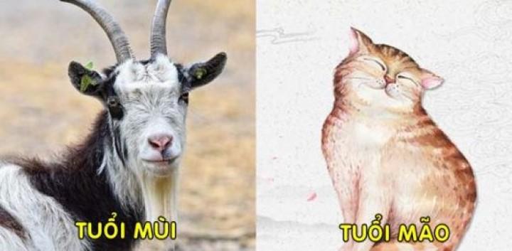 Ai có bạn bè, người thân thuộc con giáp này xin chúc mừng vì được hưởng vinh hoa phú quý suốt đời | Bói Tử Vi