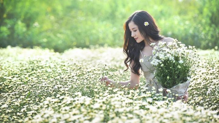 Tử vi tuần mới 25/11 – 1/12/2019 của 12 con giáp: Mão có điềm báo về họa huyết quang, Dần cát tinh trợ mệnh | Bói Tử Vi
