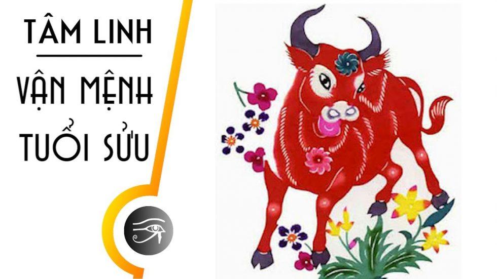 Những con giáp ”không yêu cũng đừng nên làm bạn”, có bạn nằm trong danh sách này không? | Bói Tử Vi