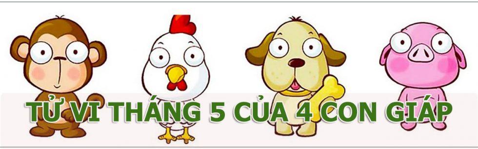 4 con giáp Thân, Dậu, Tuất, Hợi sẽ gặp thuận lợi và khó khăn gì trong tháng 5? | Bói Tử Vi