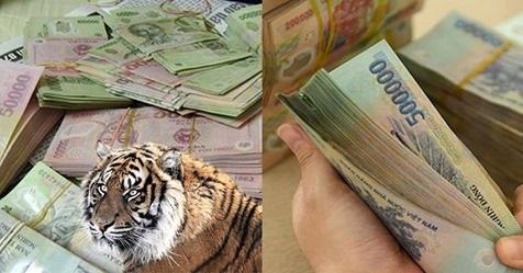 Hờn đỏ mắt với 3 con giáp được thần tài xướng tên, ‘trúng quả đậm’ trong nửa cuối tháng 4/2020 | Bói Tử Vi