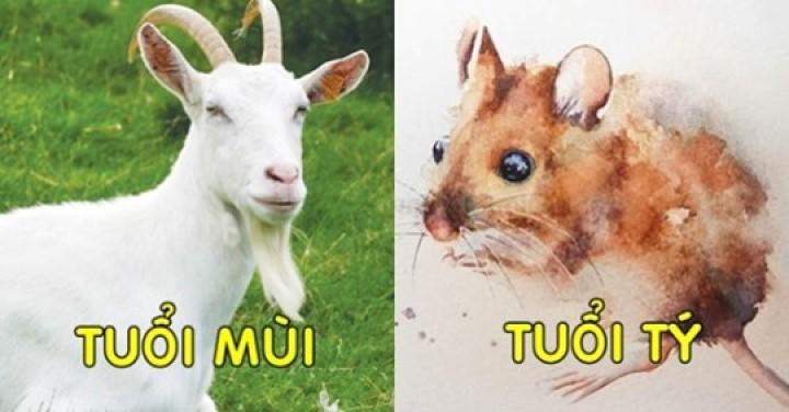 Khổ trước sướng sau: Tý – Sửu – Mùi sau 35 tiền tiêu không hết, ngồi không hưởng phúc, của nả đầy nhà | Bói Tử Vi