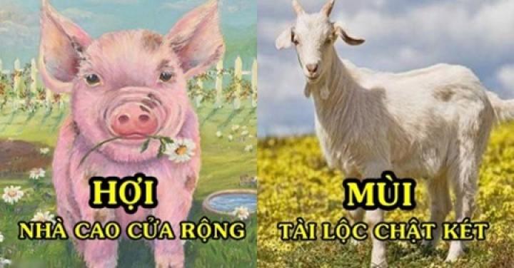 Con giáp trời định giàu có, 5 năm tới vét sạch túi Thần Tài : Hợi nhà lầu xe hơi – Mùi tiền chật két | Bói Tử Vi