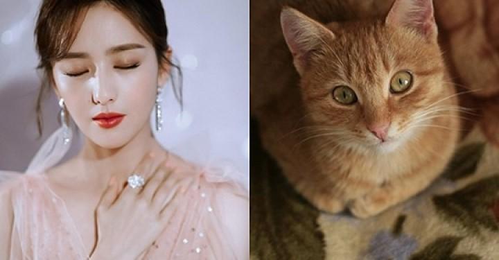 Được Phật “độ”, 3 con giáp mở mắt trái thấy thần Tài, mở mắt phải gặp quý nhân, 49 ngày tới phát tài to | Bói Tử Vi
