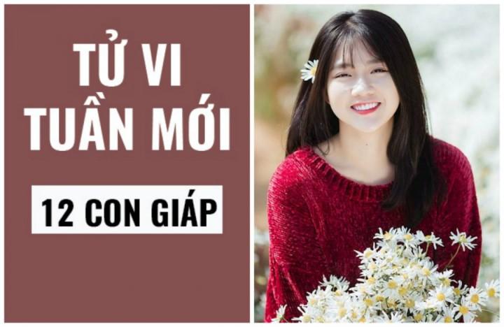 Xem tử vi tuần mới (từ 5/8- 11/8/2019) của 12 con giáp: Tuổi Tý gặp hung vận lớn, Thìn tài lộc vượng phát | Bói Tử Vi