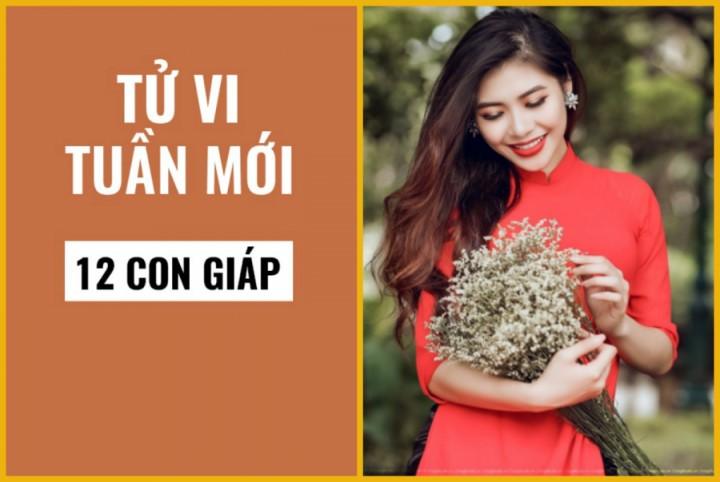 Tử vi tuần mới (từ 16/9 đến 22/9/2019) của 12 con giáp: Hợi có điềm báo hoạ thị phi, Ngọ gặp được vận may | Bói Tử Vi