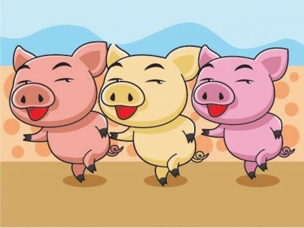 Tuổi Hợi hợp màu nào trong năm 2018 | Bói Tử Vi