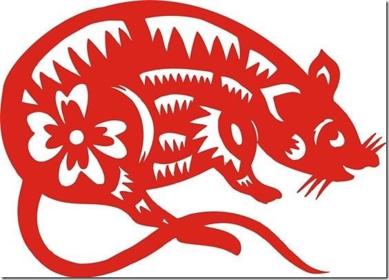 Tử vi trọn đời người tuổi Tý | Bói Tử Vi