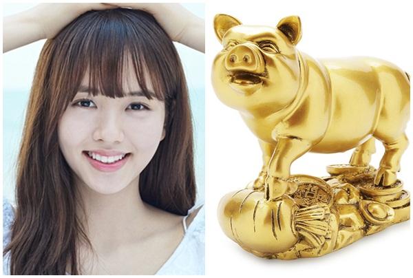 Vận mệnh người tuổi Hợi năm 2018 | Bói Tử Vi