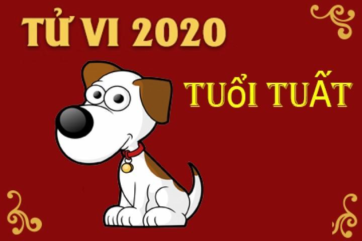 Tử vi tuổi Tuất năm 2020: Cơ hội khó nắm, kiên trì ắt thành | Bói Tử Vi