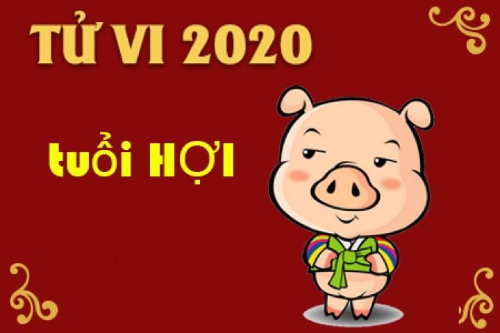Tử vi tuổi Hợi năm 2020: Cạnh tranh gay gắt, phải biết giữ mình | Bói Tử Vi