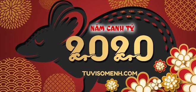Tử vi 2020 luận giải chính xác | Bói Tử Vi