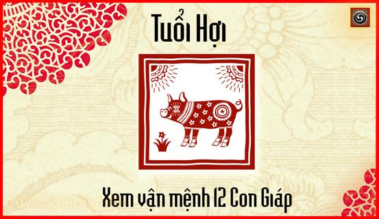 Xem bói tử vi tuổi Hợi | Bói Tử Vi