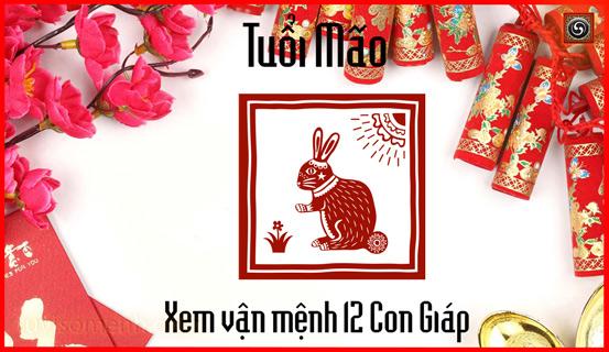 Vận trình tử vi trọn đời Ất Mão nam mang chi tiết | Bói Tử Vi