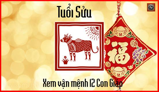 Vận trình tử vi trọn đời Đinh Sửu nam mang chi tiết | Bói Tử Vi