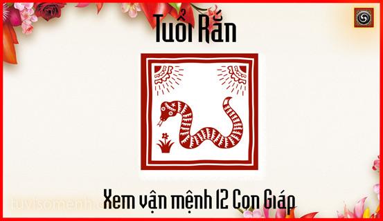 Xem bói tử vi tuổi Tỵ | Bói Tử Vi