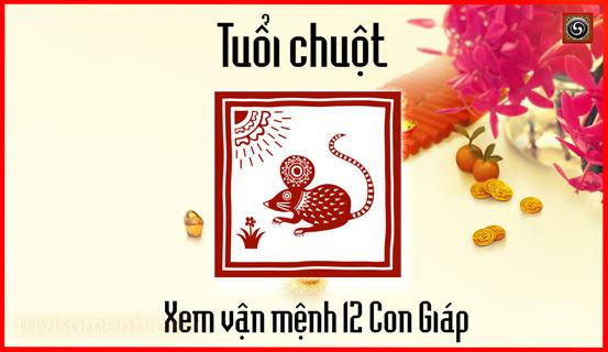 Vận trình tử vi trọn đời Bính Tý nam mang chi tiết | Bói Tử Vi